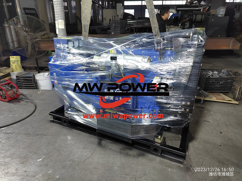 Generador Weifang de 30 kw instalado en una base de plantación de hortalizas