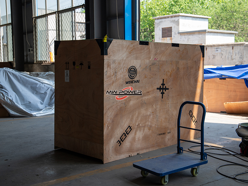 Salida del grupo electrógeno original de weichai